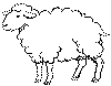 schaap.gif (23034 bytes)